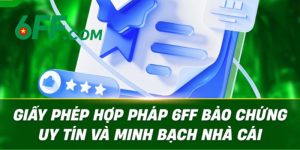 Giấy phép hoạt động 6FF