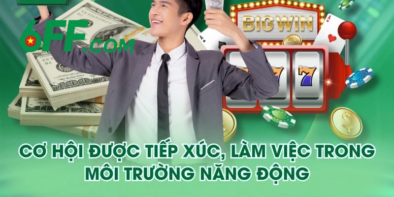 Những đầu việc cần phải làm của đại lý 6FF
