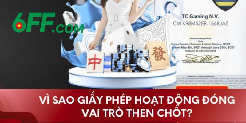 Tìm hiểu chi tiết về giấy phép hoạt động 6FF